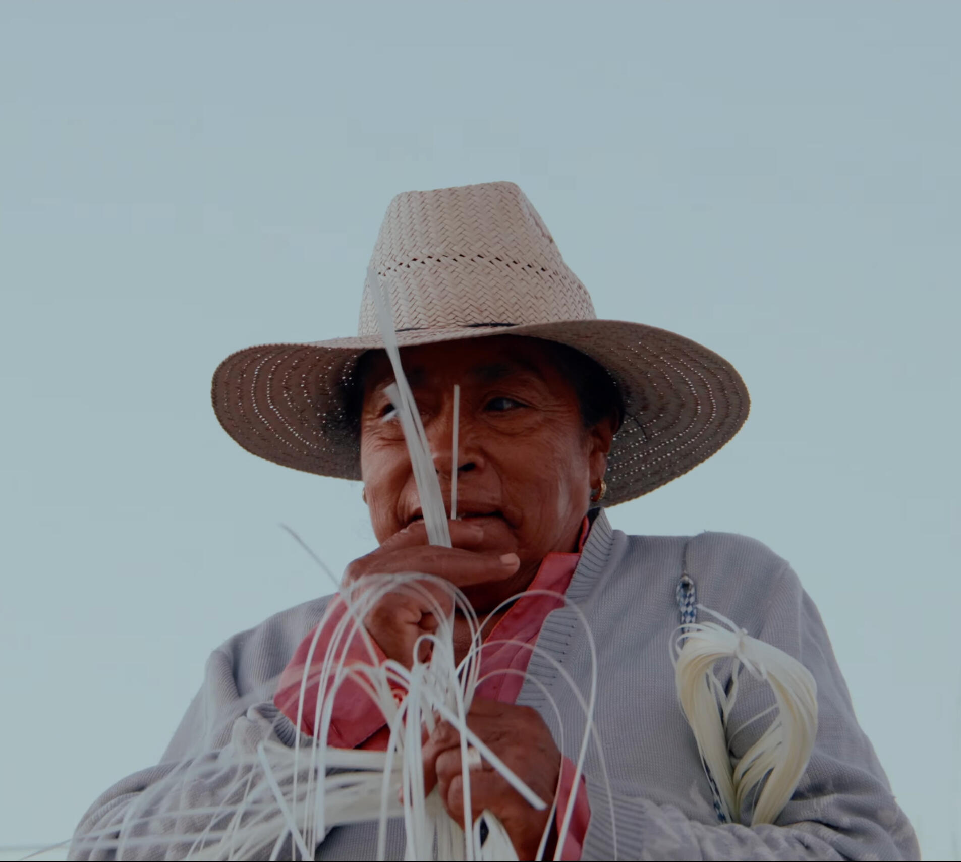 Fresa del campo